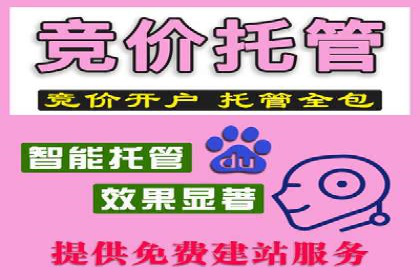 百度竞价广告的优化之路：某科技公司的成功经验